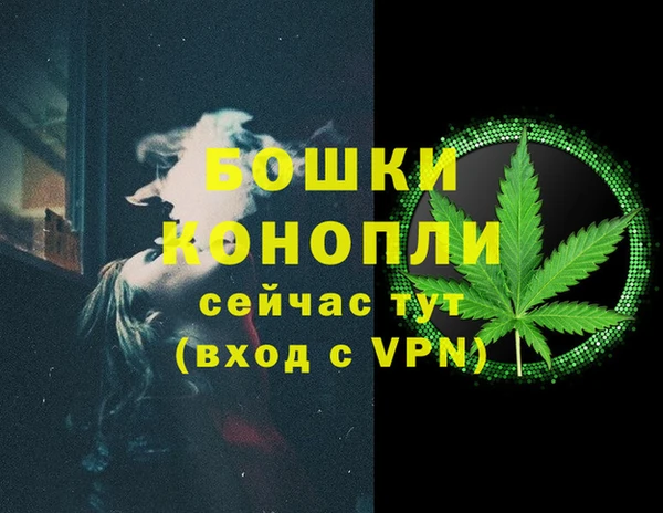 PSILOCYBIN Аркадак